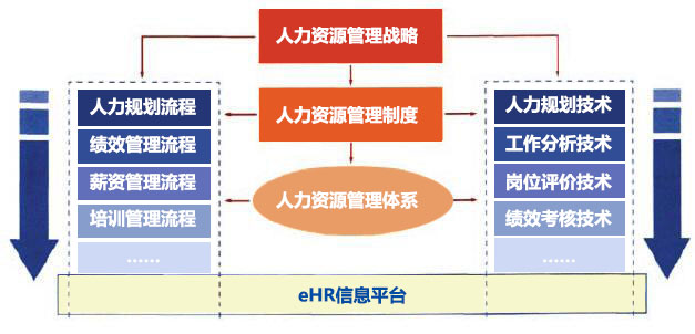 天津可乐ehr系统结构图